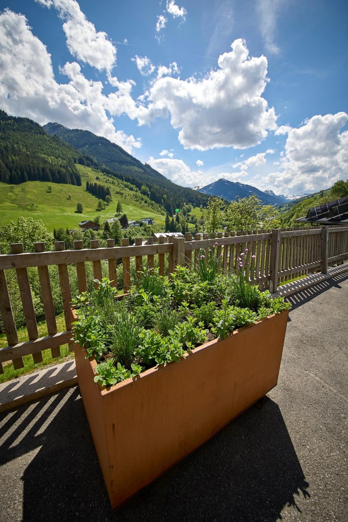 Apartmán Drei Hittn Saalbach Exteriér fotografie